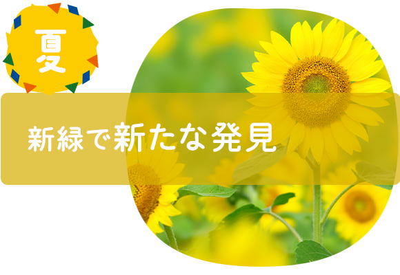 春　新しい季節の始まり　・入園の日